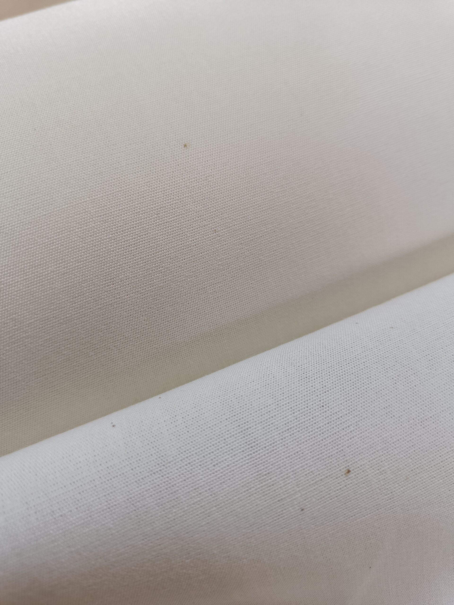 Cotton canvas B-006, 155 cm, 150 g - roll 50m - Image 3