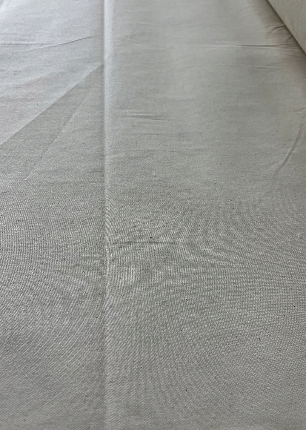 Cotton canvas B-037, 255 cm, 210 g, 0.1 lin. m. - Image 3