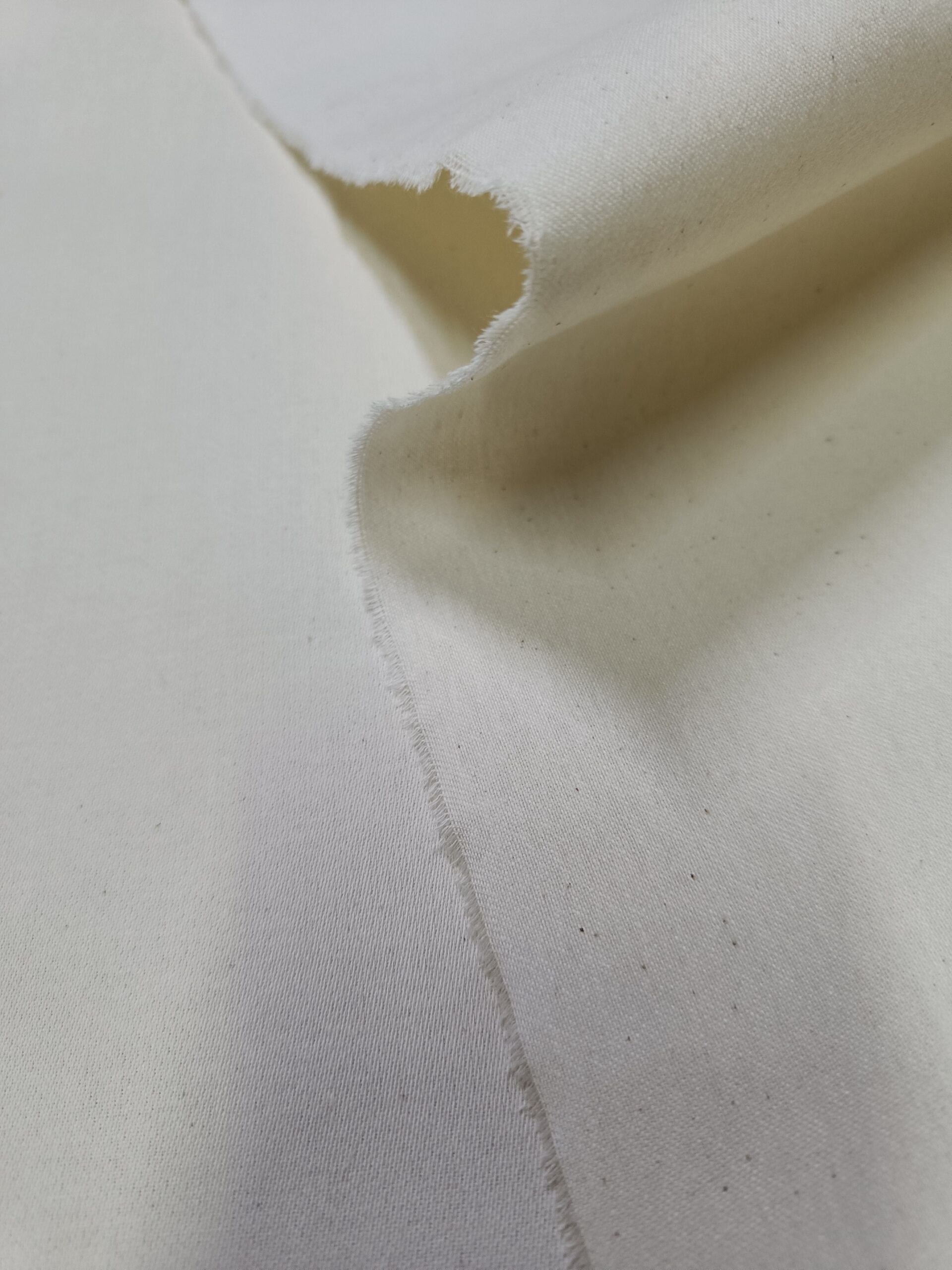Cotton canvas B-016, 155 cm, 230 g, 0.1 lin. m. - Image 3